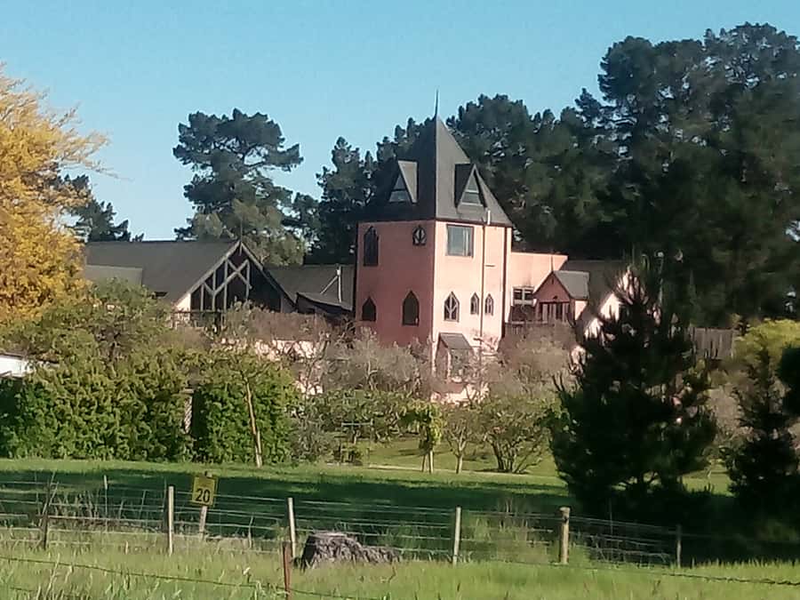 From Christchurch: Guided Local Wine Tours in Waipara - Key points to know before booking