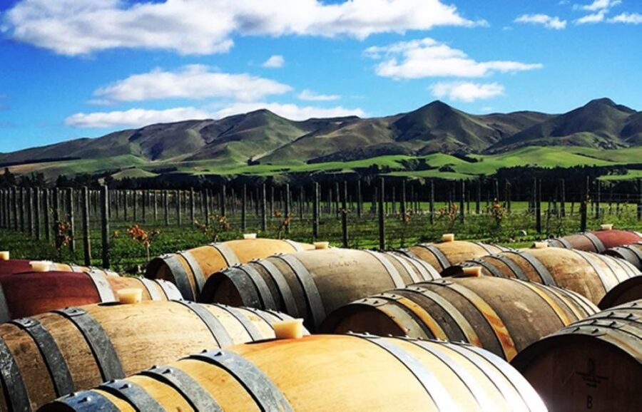 From Christchurch: Guided Local Wine Tours in Waipara - The $119 price and what you really pay