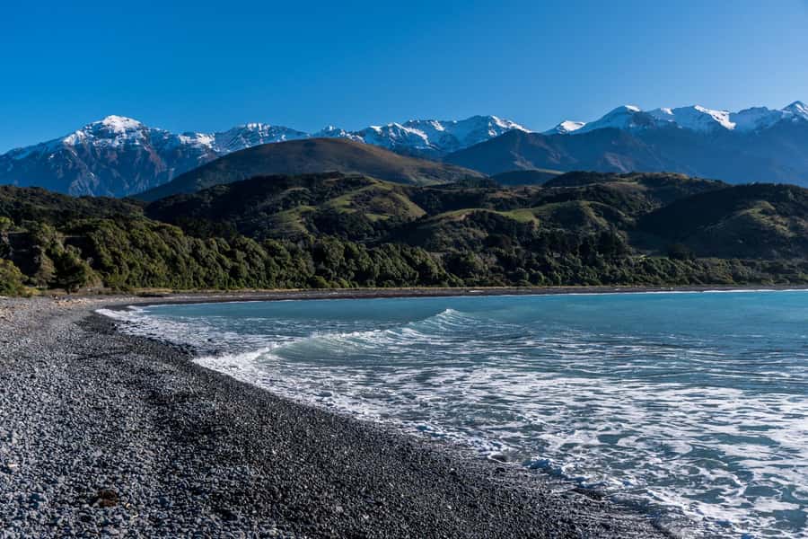 From Christchurch: Kaikōura Day Tour With Dolphin Encounter - Who should choose this trip?