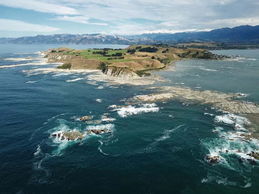 From Christchurch: Kaikōura Day Tour With Dolphin Encounter - Leaving Christchurch in a small Mercedes Sprinter