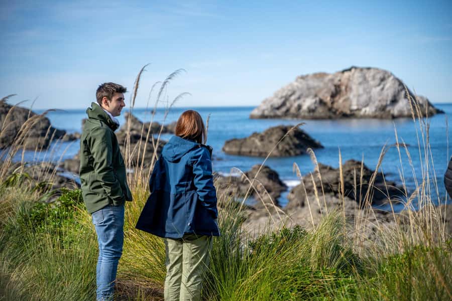 From Christchurch: Kaikōura Day Tour with Whale Watching - Four things to know before you book