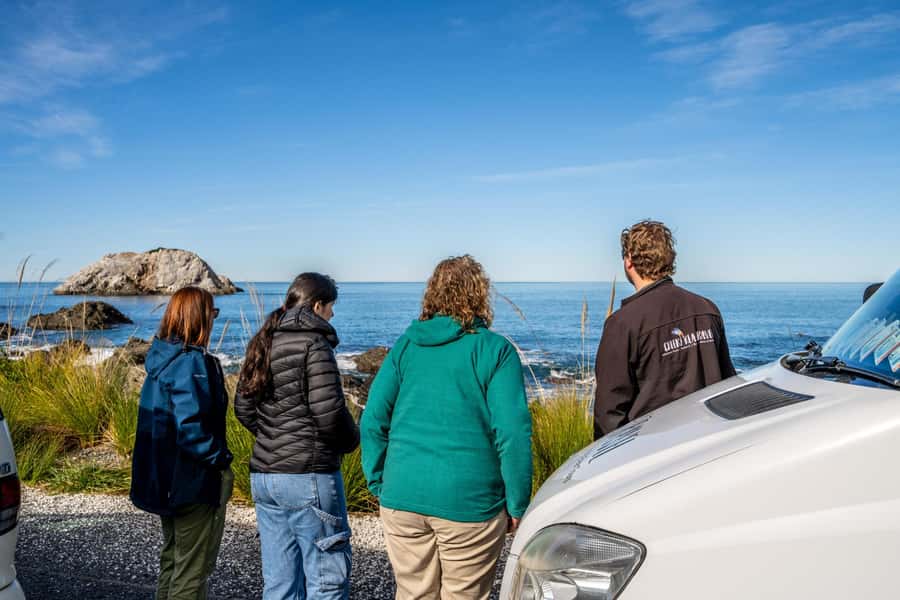 From Christchurch: Kaikōura Day Tour with Whale Watching - Kaikōura lunch: simple, filling, and included
