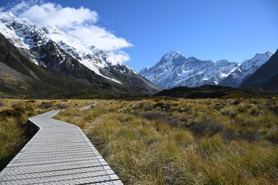 From Christchurch: Queenstown via Tekapo & Mt Cook Day Trip - Key points to know before you book