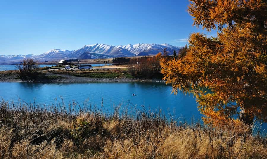 From Christchurch: Queenstown via Tekapo & Mt Cook Day Trip - Kawarau Gorge and arrival in Queenstown