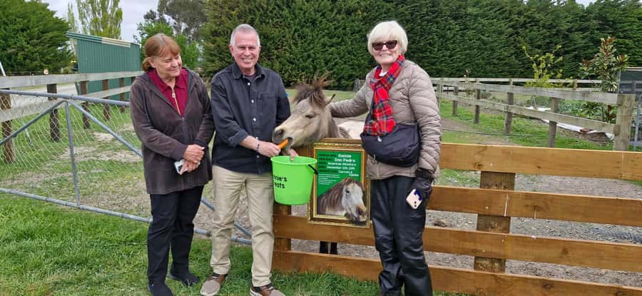 From Christchurch: Sheep Farm Experience with Lunch & Winery - Key points to know before booking