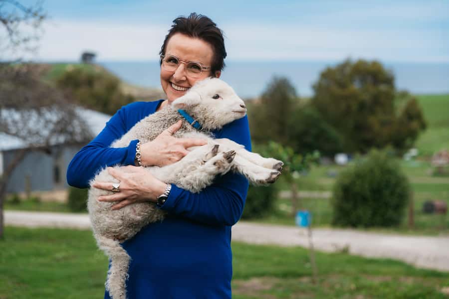 From Christchurch: Sheep Farm Experience with Lunch & Winery - Why this farm visit feels genuine