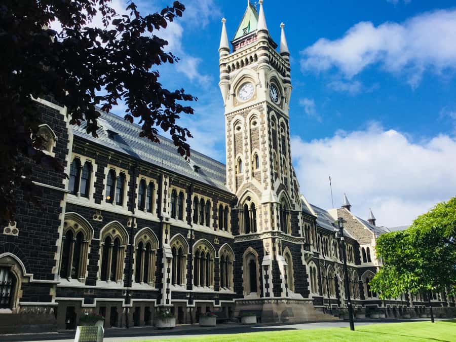 From Dunedin: City, Otago Peninsula & Albatross Guided Tour - Is $191 a fair price?