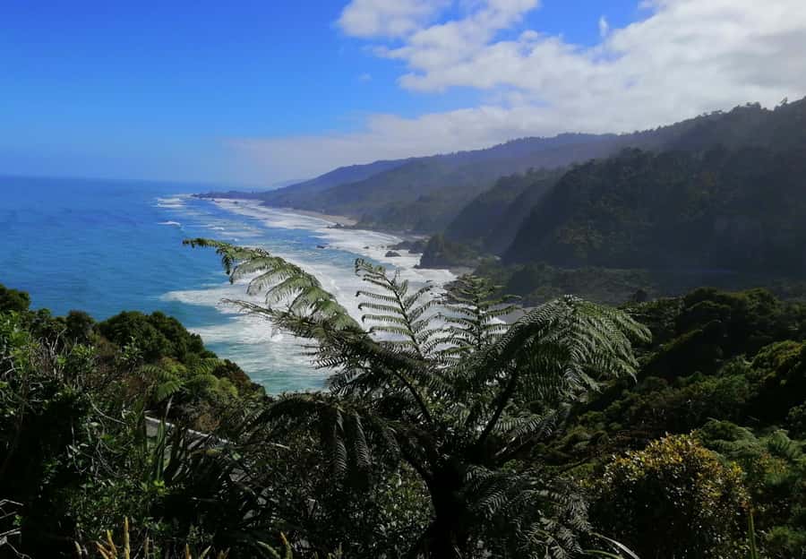 From Greymouth: Highlights West Coast Day Tour - Key points to know before booking