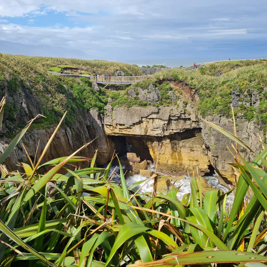From Greymouth: Highlights West Coast Day Tour - The Coast Road: scenery with room for photographs