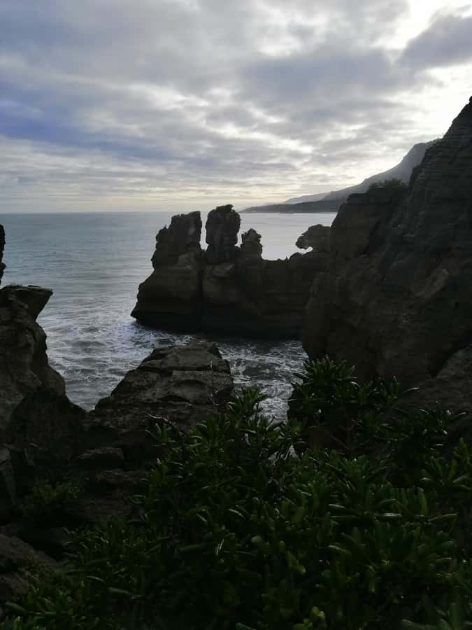 From Greymouth: Highlights West Coast Day Tour - 11.10am: Tauranga Bay and its seal colony