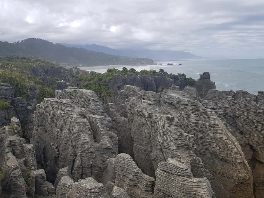 From Greymouth: Punakaiki Blowholes & Pancake Rocks Tour - Reading the signs instead of rushing past