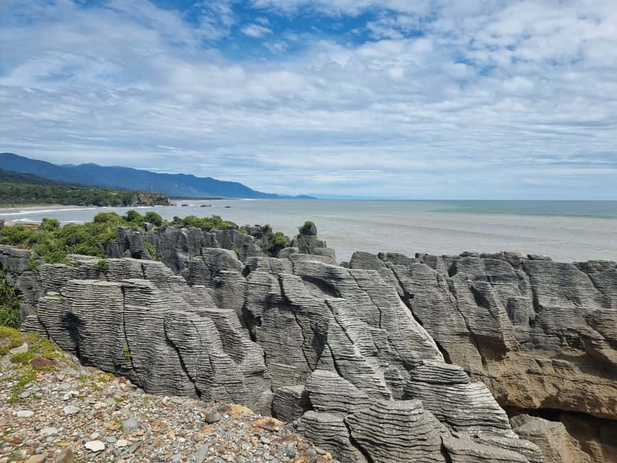 From Greymouth: Punakaiki Blowholes & Pancake Rocks Tour - What the small van changes