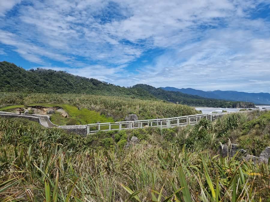 From Greymouth: Punakaiki Blowholes & Pancake Rocks Tour - Is $83 good value?