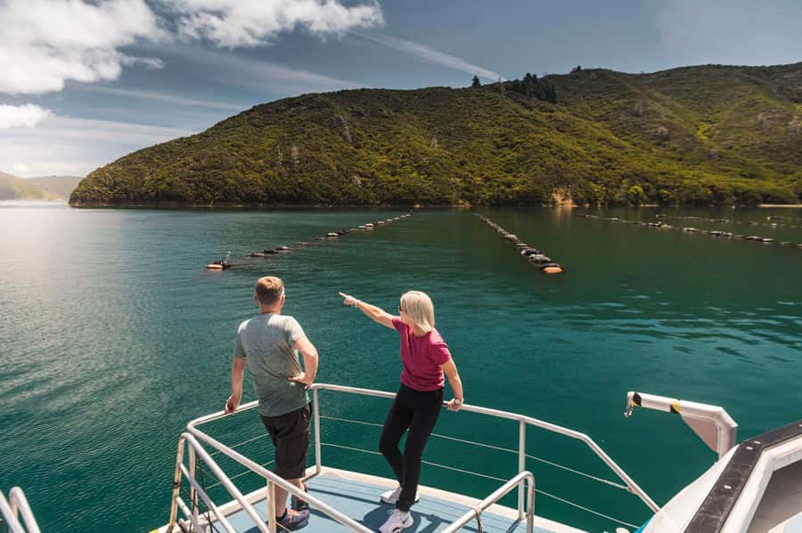 From Havelock: Marlborough Sounds Mail Boat Full-Day Cruise - Who will enjoy this six-hour cruise most