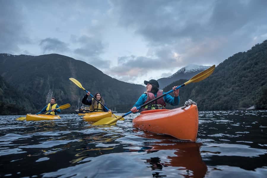 From Manapouri: Doubtful Sound Overnight Cruise - Five details that make this Doubtful Sound cruise special