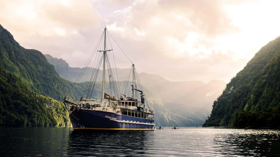 From Manapouri: Doubtful Sound Overnight Cruise - Why an overnight stay changes Doubtful Sound