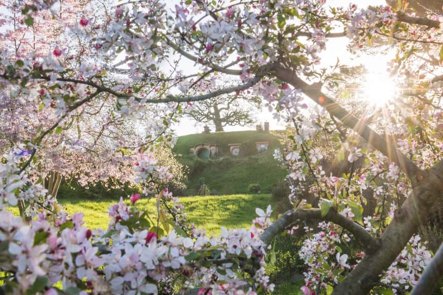 From Matamata: Guided Hobbiton Experience with Bus Transfers - Practical tips for a smoother visit