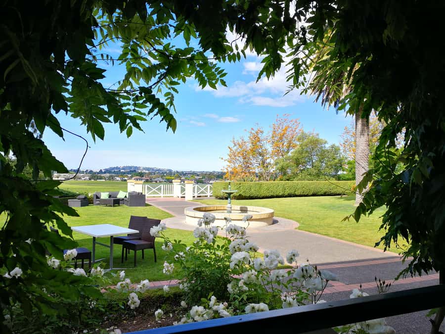 From Napier: Hawke's Bay Small Group Wine Capita Tour - Key points before you book