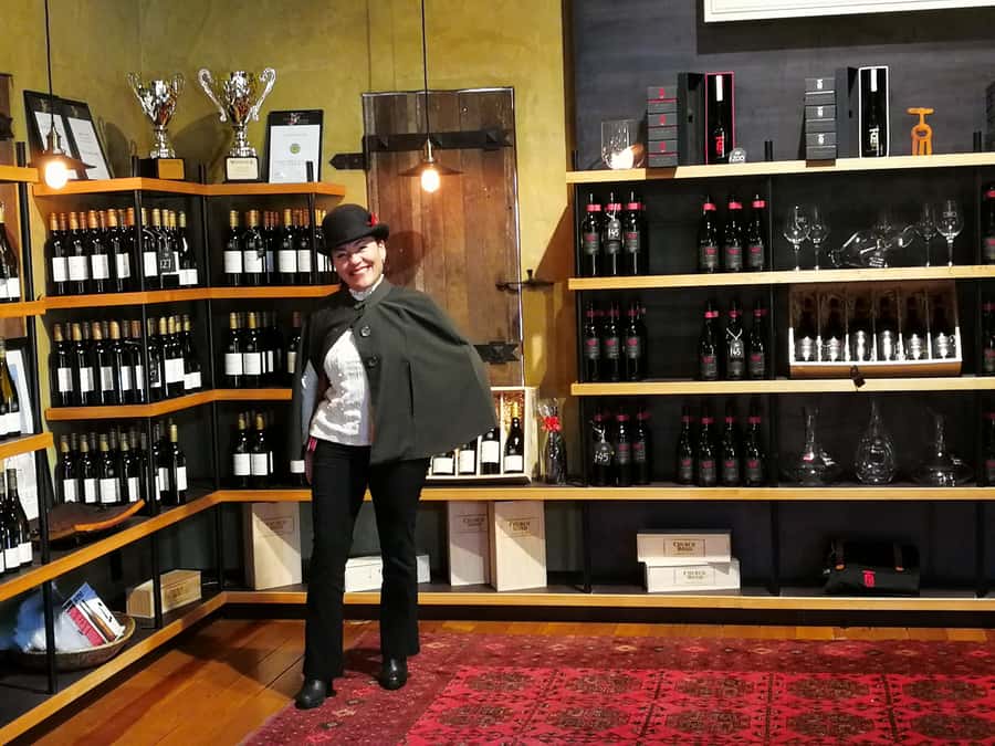From Napier: Hawke's Bay Small Group Wine Capita Tour - What the five-hour route feels like