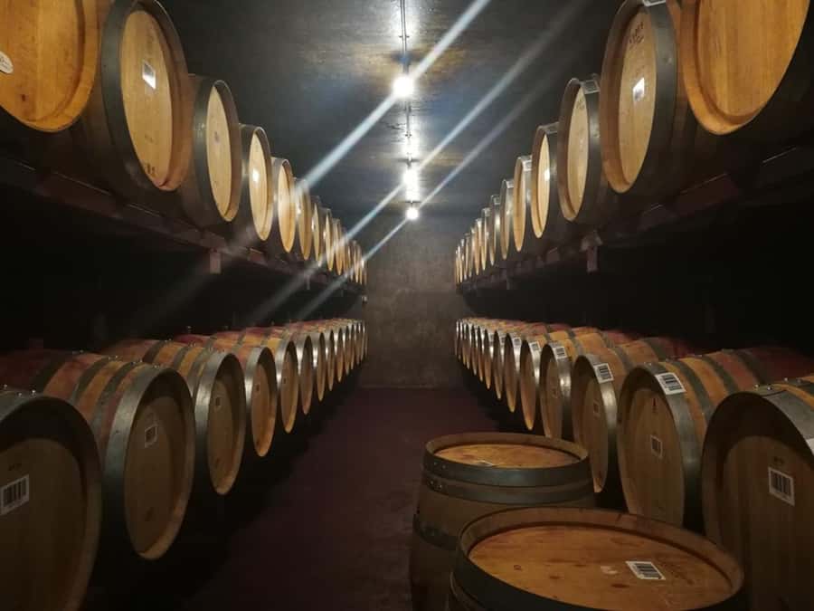 From Napier: Hawke's Bay Small Group Wine Capita Tour - Winery tastings in the Gimblett Gravels