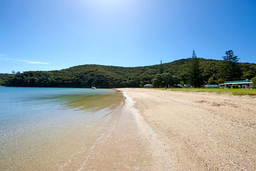 From Paihia: Full-Day Bay of Islands Cruise - Boom-netting, the wet part of the day