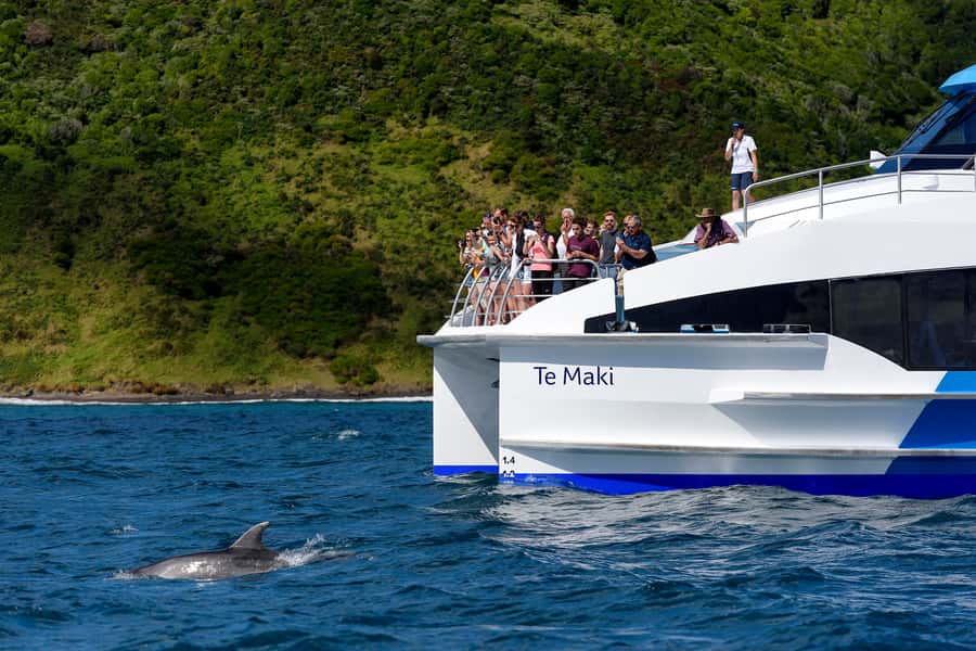 From Paihia: Full-Day Bay of Islands Cruise - Urupukapuka Island and Otehei Bay