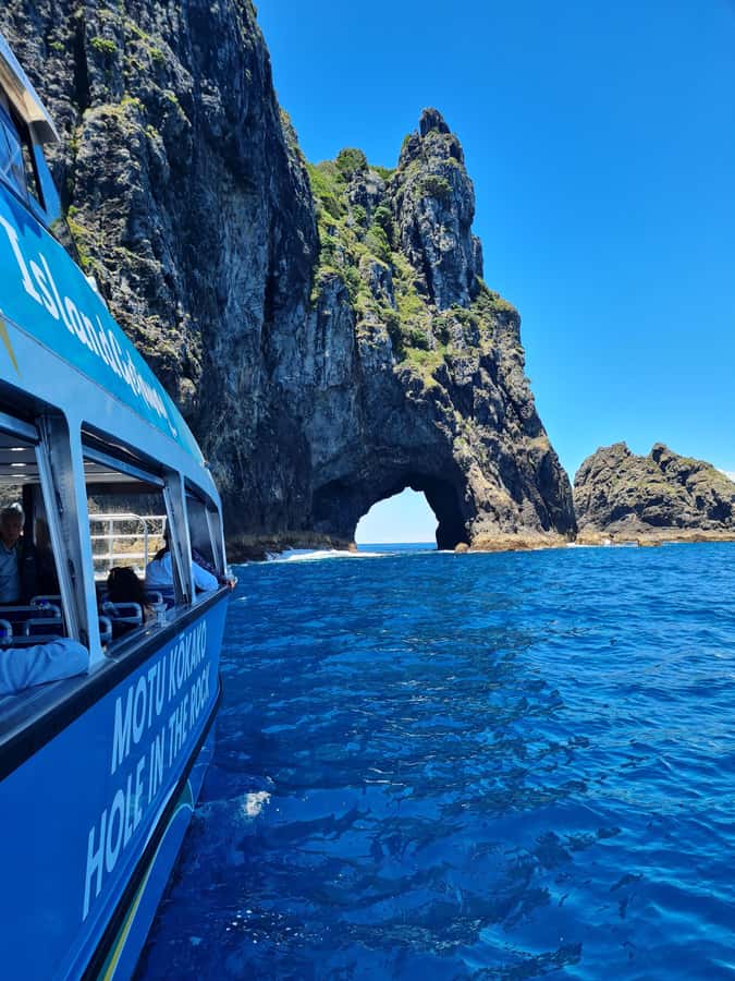 From Paihia: Hole in the Rock Cruise & Island Tour: 3 Hour - Why the Bay of Islands cruise works so well