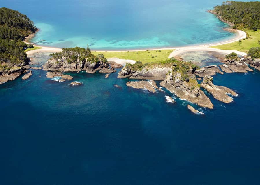 From Paihia: Hole in the Rock Cruise & Island Tour: 3 Hour - Is $86 good value for three hours?