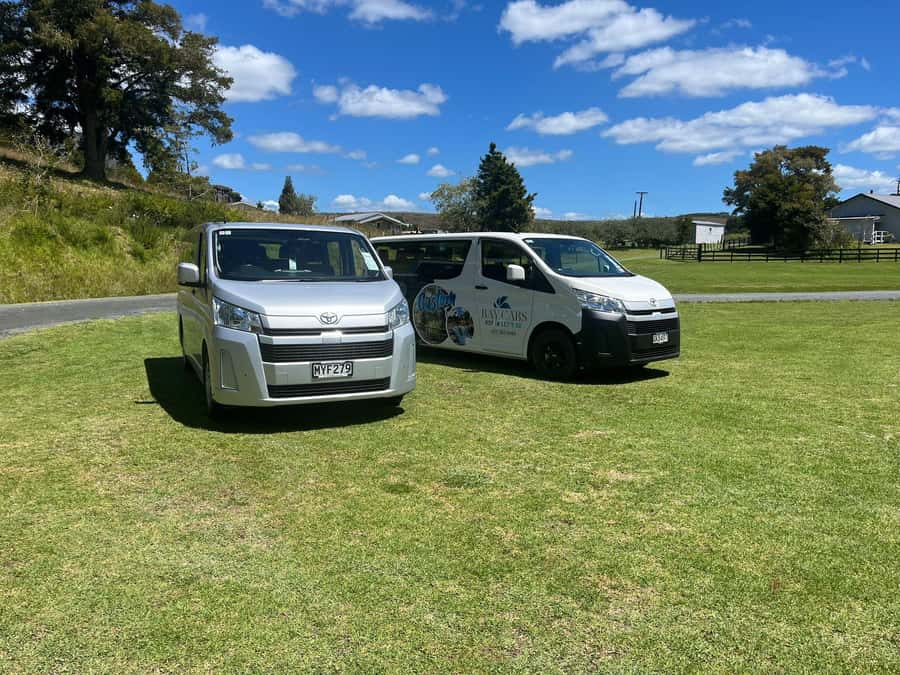 From Paihia: Kawiti Glowworm Caves Guided Tour - Five things worth knowing before you book