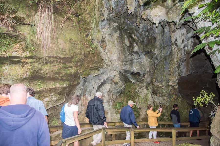 From Paihia: Kawiti Glowworm Caves Guided Tour - Why the Kawiti Caves feel different