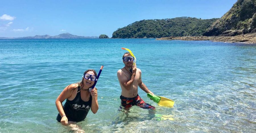 From Paihia: Scenic Cruise with Roberton Island Stopover - Practical tips for a better three hours
