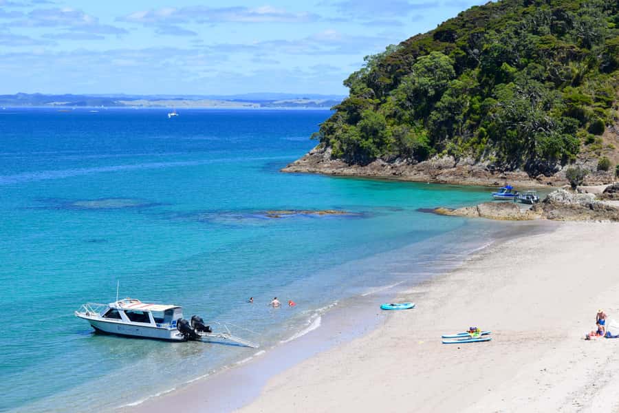 From Paihia: Scenic Cruise with Roberton Island Stopover - Why this Paihia cruise works so well