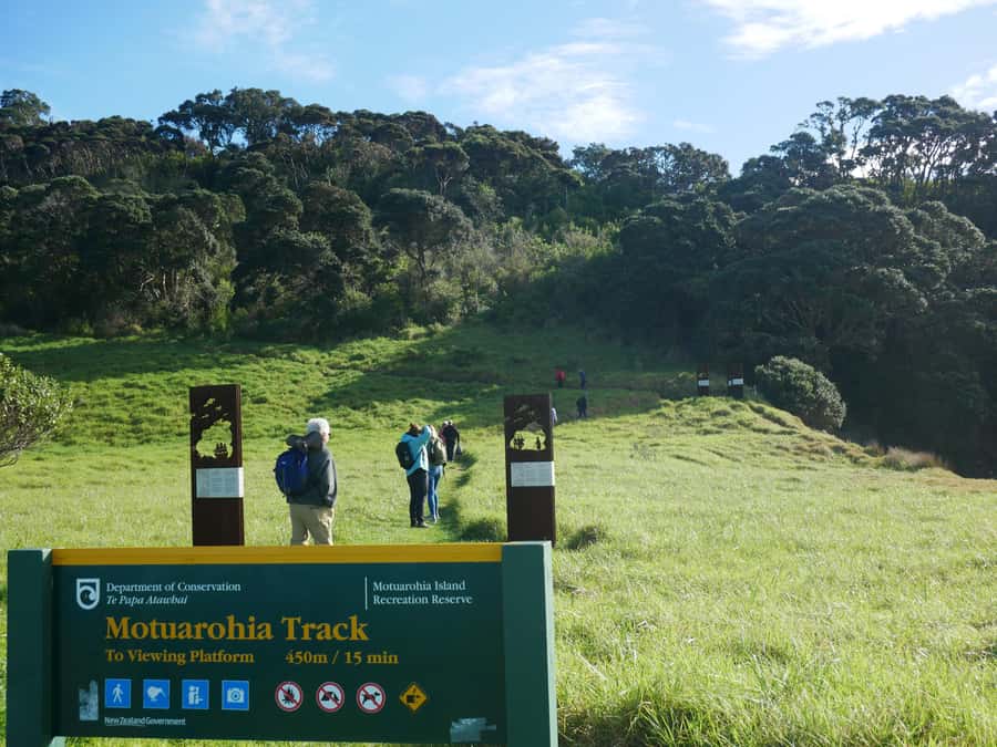 From Paihia: Scenic Cruise with Roberton Island Stopover - What the crew adds to the experience