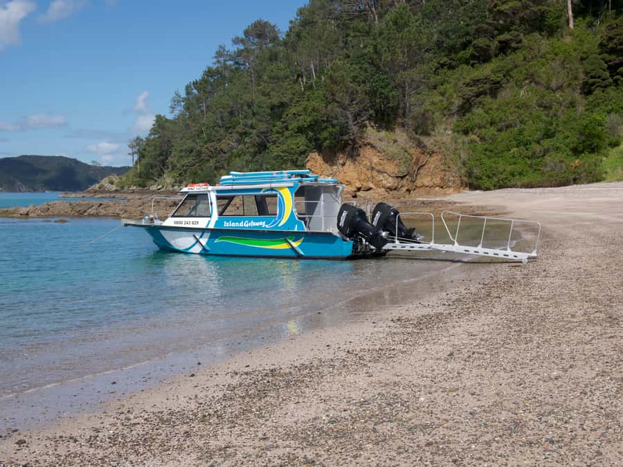From Paihia: Scenic Cruise with Roberton Island Stopover - What $78 includes and what it does not