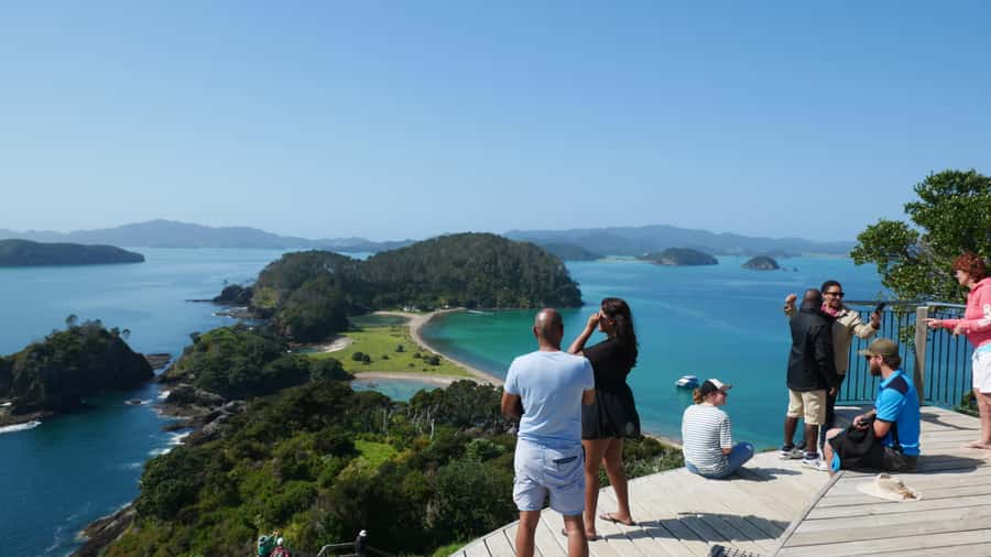 From Paihia: Scenic Cruise with Roberton Island Stopover - Who should book this cruise?