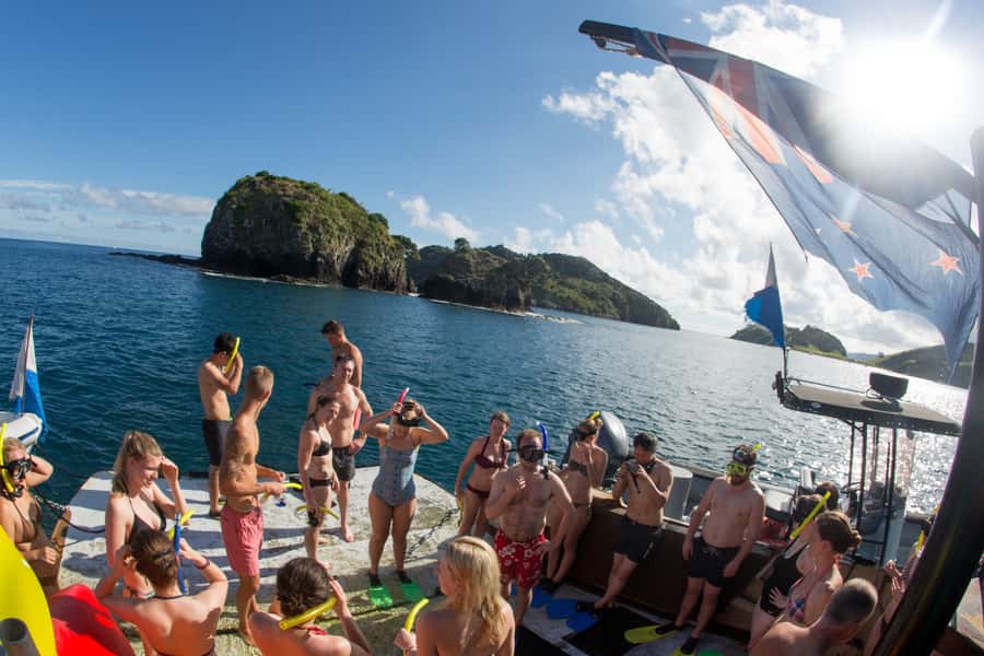 From Paihia: The Rock Adventure Overnight Cruise - Leaving Paihia Wharf at 5 pm