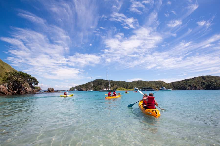 From Paihia: The Rock Adventure Overnight Cruise - Dolphins, birdlife, and the trip home