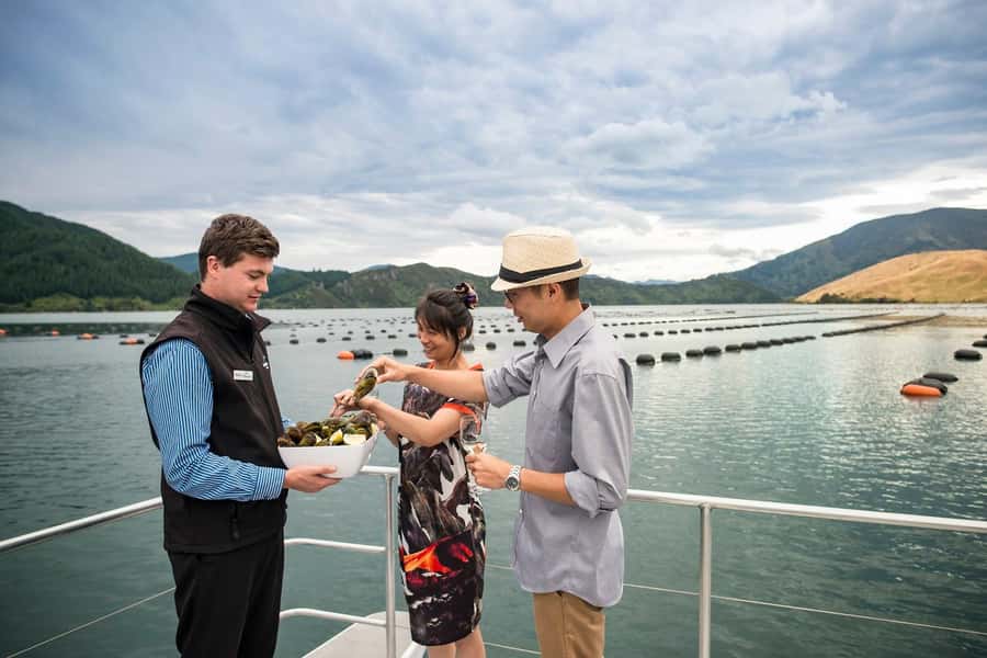 From Picton: Marlborough Sounds Cruise with Seafood - Indoor comfort, outdoor views, and the boat itself