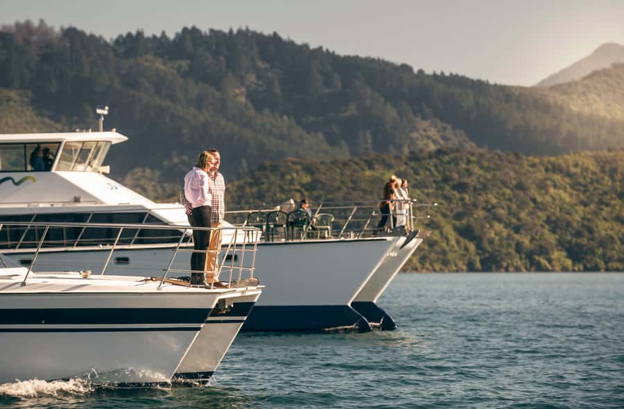From Picton: Marlborough Sounds Cruise with Seafood - Who will enjoy this cruise most?