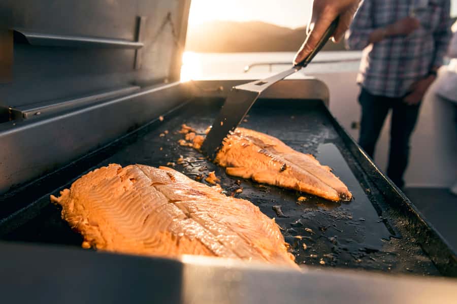 From Picton: Marlborough Sounds Cruise with Seafood - Should you book the Marlborough seafood cruise?