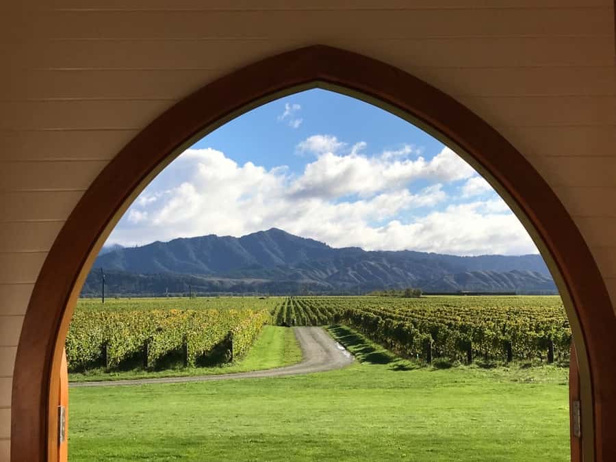From Picton: Private Wine and Gourmet Tour of Marlborough - Cellar doors and the personal side of Marlborough wine