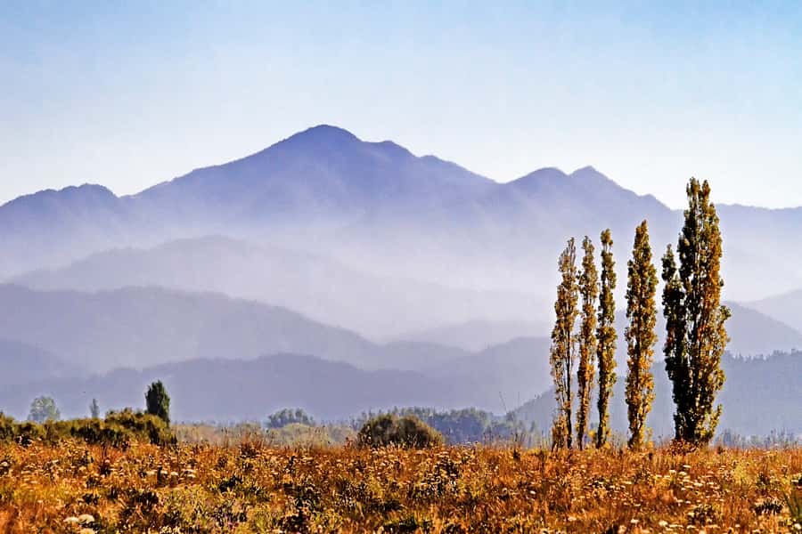 From Picton: Private Wine and Gourmet Tour of Marlborough - What Pamela and Ian add to the day