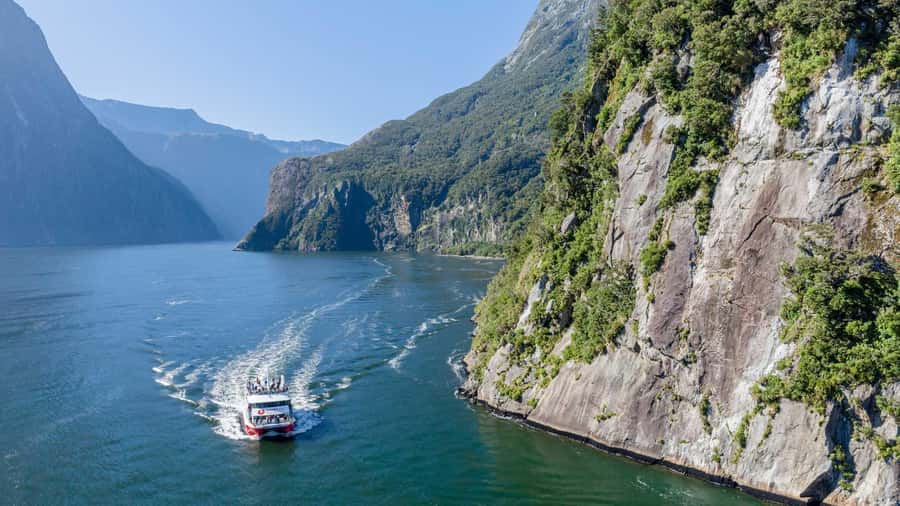 From Queenstown: Coach, Farm Tour & Milford Nature Cruise - A one-hour farm experience in Te Anau