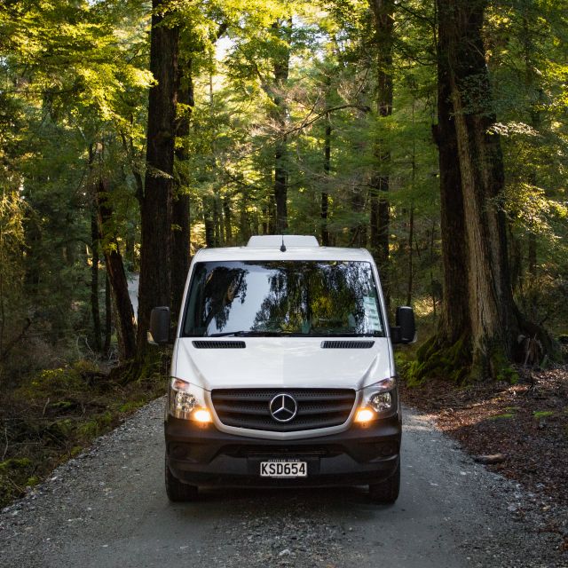 From Queenstown: Glenorchy and Paradise Scenic Half-Day Tour - A Kiwi-style morning tea in the right setting