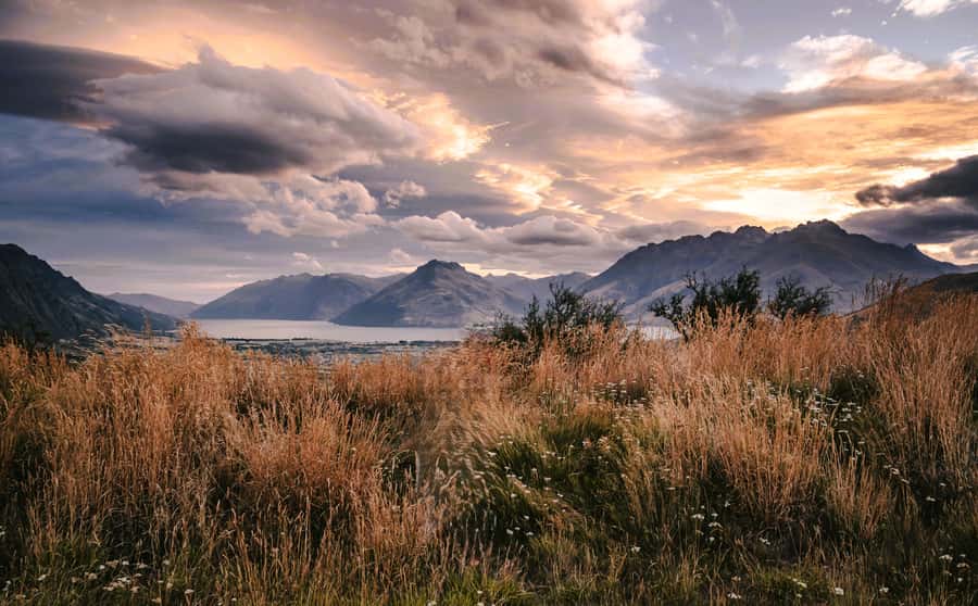 From Queenstown - Half Day Personalised Photography Tour - Choosing between Glenorchy, Skippers Canyon, and Wanaka