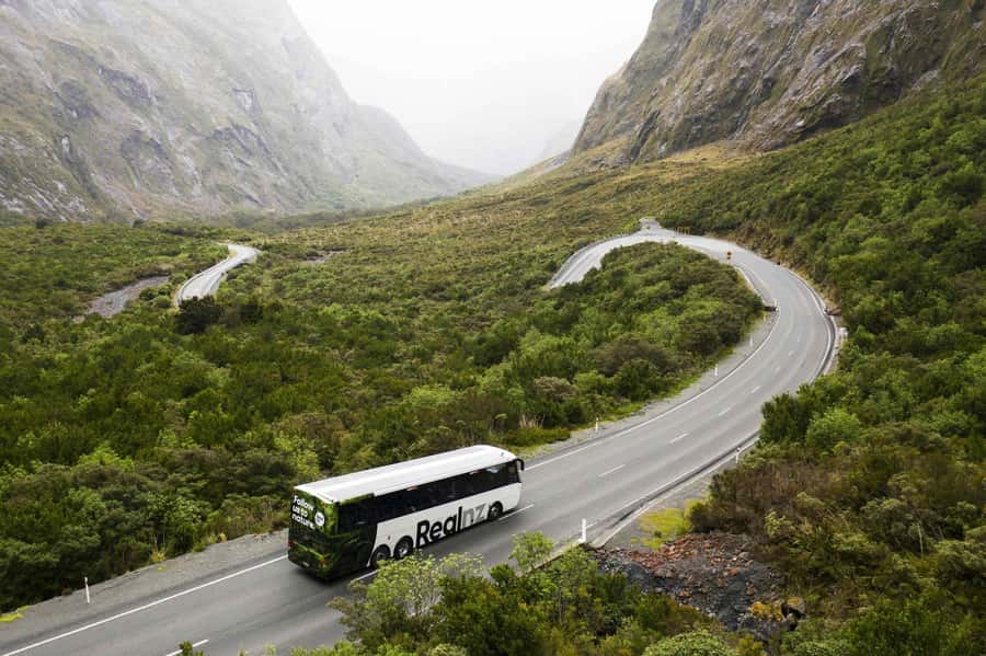 From Queenstown: Milford Sound Cruise and Coach Day Tour - Key points to know before booking