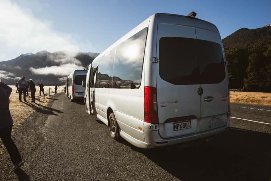 From Queenstown: Milford Sound Cruise and Scenic Drive - Why the road matters as much as the boat