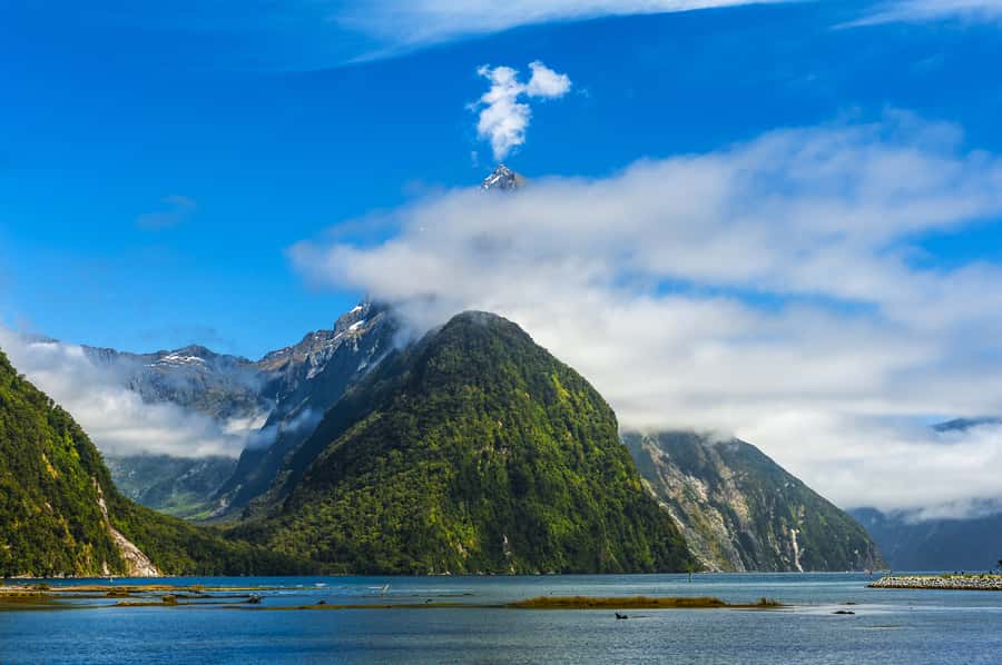 From Queenstown Milford Sound Cruise & Glass-Roof Coach Tour - Mirror Lakes, the Eglinton Valley, and Knobs Flat