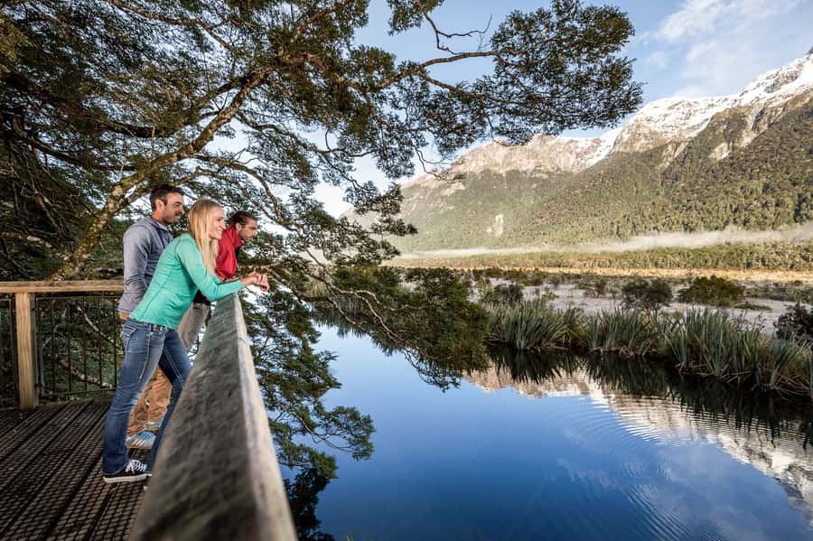 From Queenstown: Milford Sound Day Trip on Premium Coach - Key details before you book