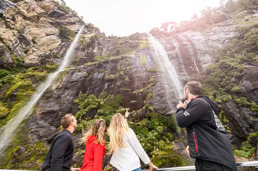 From Queenstown: Milford Sound Day Trip on Premium Coach - Should you add lunch?